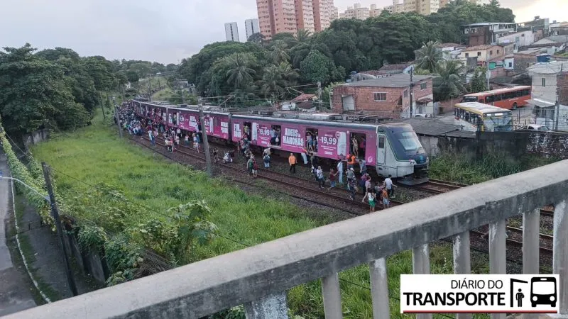 Trem do Metrô do Recife descarrila e provoca transtornos para passageiros